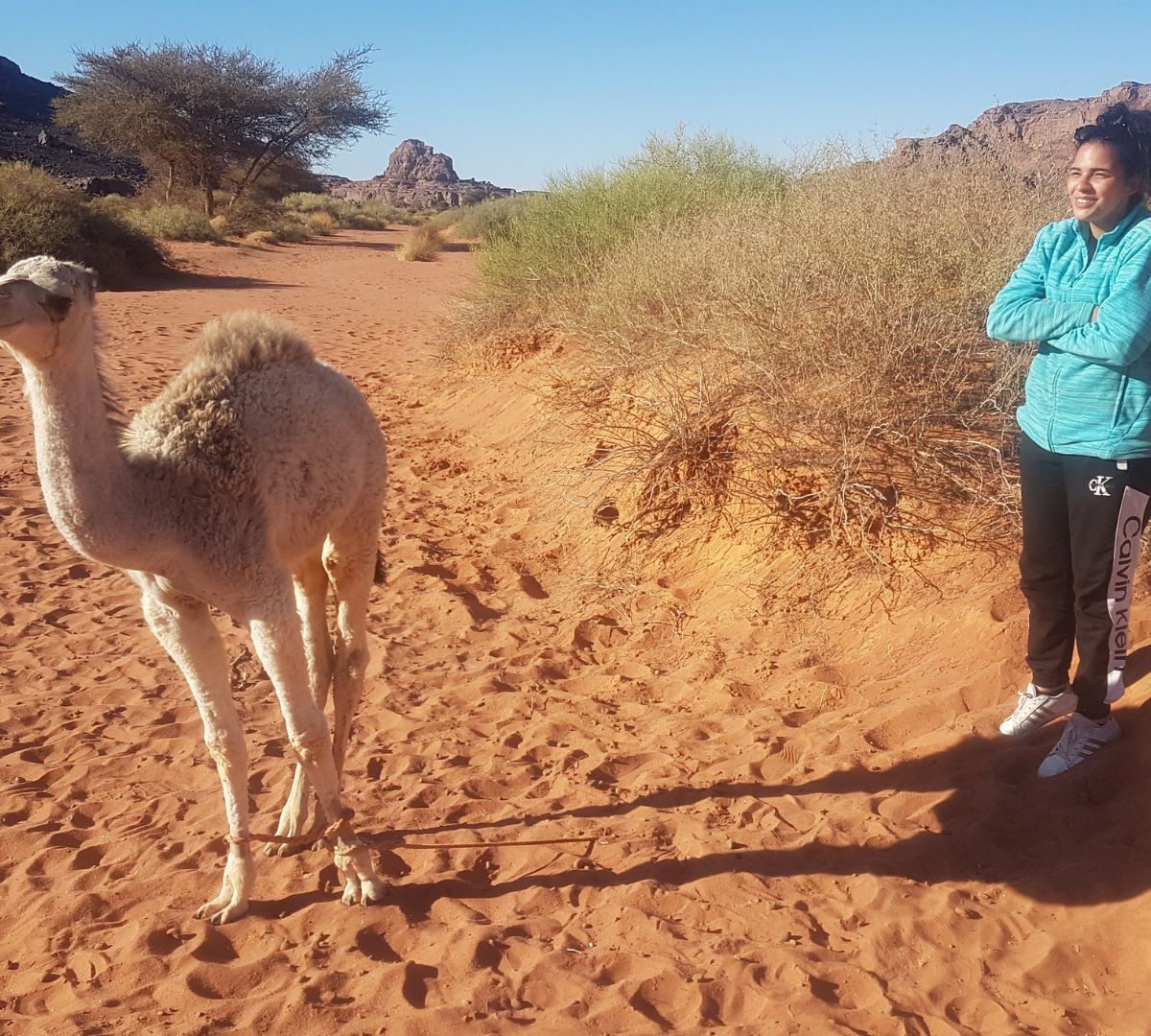 Cultura viaggio Algeria