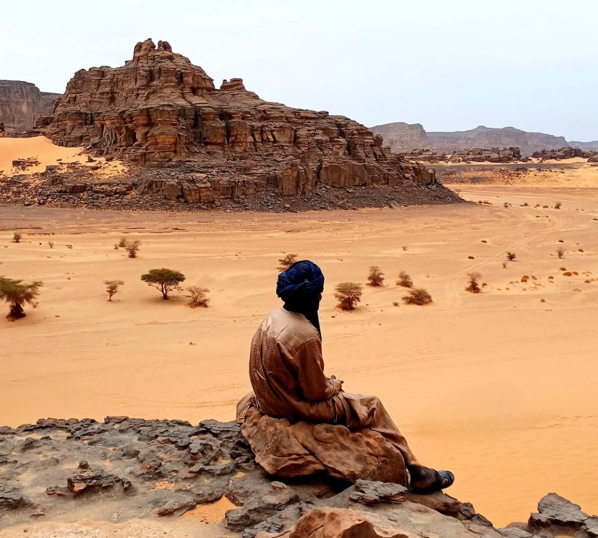 Dettagli Sahara Algeria viaggio