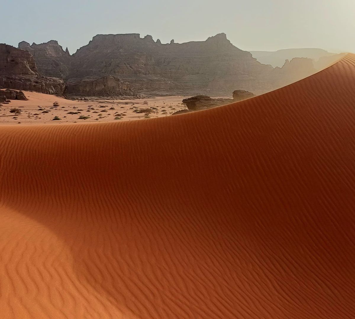 Reportage reale Sahara Algeria Djanet