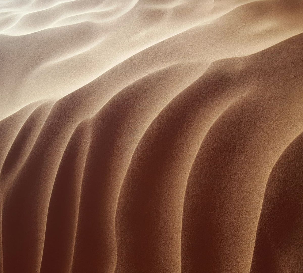 Esperienza Sahara Algeria richiesta viaggio