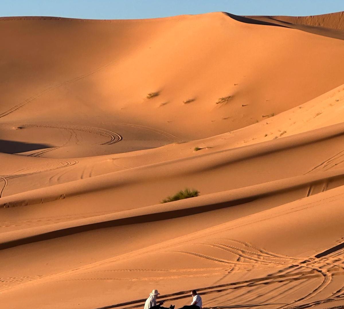 Tassili Sahara Algeria paesaggio