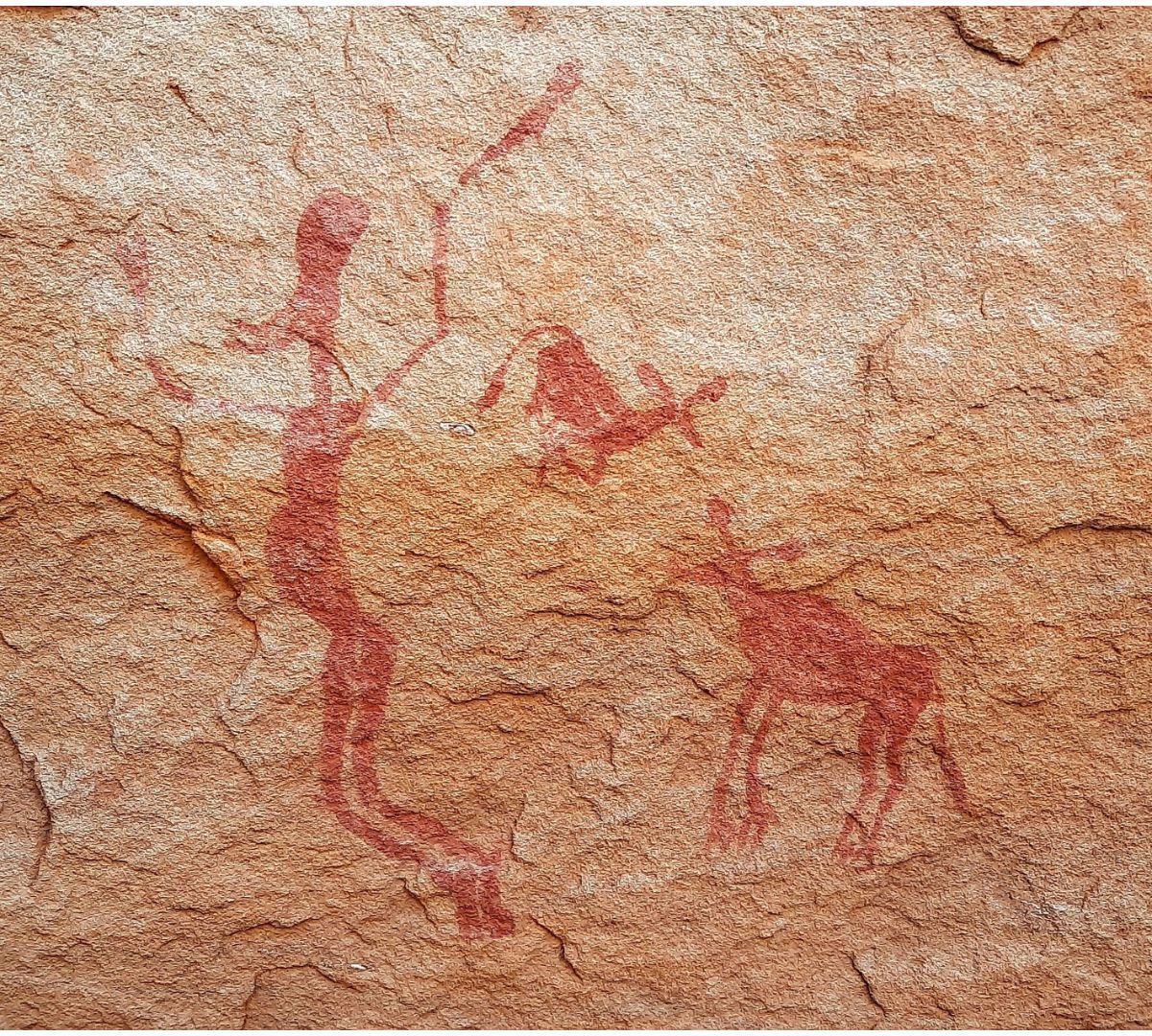 Esperienza Sahara Algeria