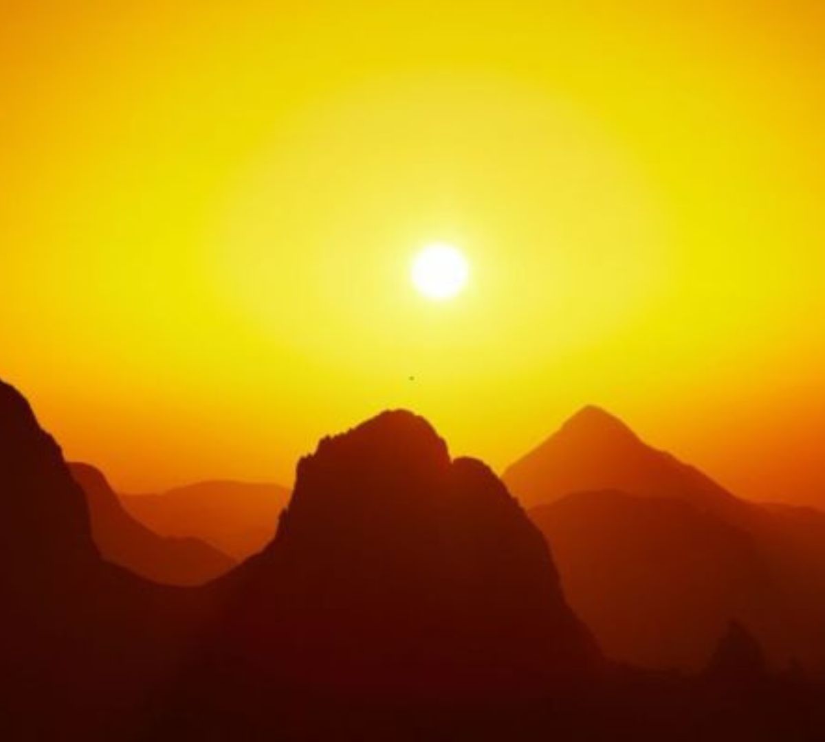 Esperienza Sahara Algeria